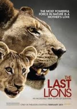 National Geographic: Последние львы / National Geographic: The Last Lions (2011) смотреть онлайн бесплатно в отличном качестве