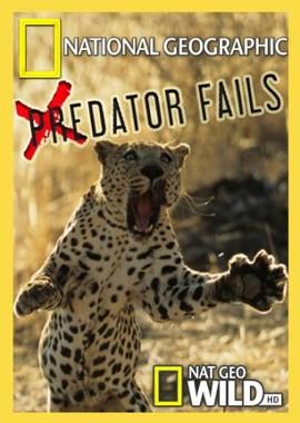 National Geographic: Неудачи хищников / Predator Fails () смотреть онлайн бесплатно в отличном качестве