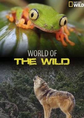 Мир дикой природы (World of the Wild) 2016 года смотреть онлайн бесплатно в отличном качестве. Постер