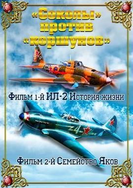 Соколы против коршунов /  (2002) смотреть онлайн бесплатно в отличном качестве