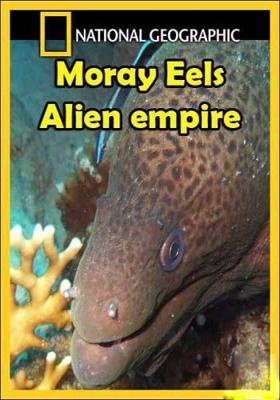 National Geographic: Мурены. Чужая империя / National Geographic: Moray. Alien empire () смотреть онлайн бесплатно в отличном качестве