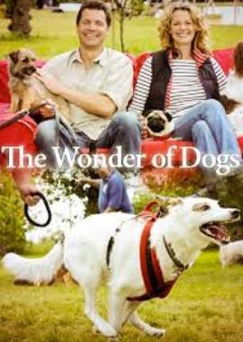 Лучший друг человека / The Wonder of Dogs () смотреть онлайн бесплатно в отличном качестве