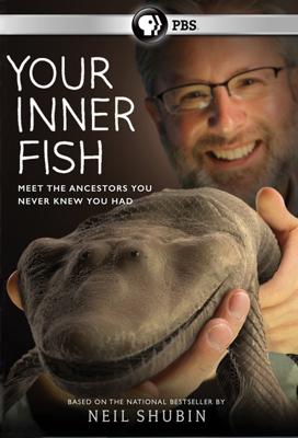 Внутренняя рыба / Your Inner Fish (None) смотреть онлайн бесплатно в отличном качестве