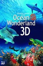 Чудеса океана 3D / Ocean Wonderland (2003) смотреть онлайн бесплатно в отличном качестве