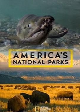 Национальные парки Америки. Арктические врата (America's National Parks. Gates of the Arctic)  года смотреть онлайн бесплатно в отличном качестве. Постер