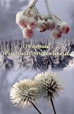 Подготовка к зимовке / Christmas Winter Wonderland (None) смотреть онлайн бесплатно в отличном качестве