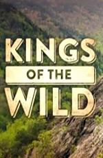 Discovery: Дикая кухня / Discovery: Kings of the Wild (None) смотреть онлайн бесплатно в отличном качестве