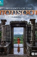 В краю муссонов / Wonders of the Monsoon (None) смотреть онлайн бесплатно в отличном качестве