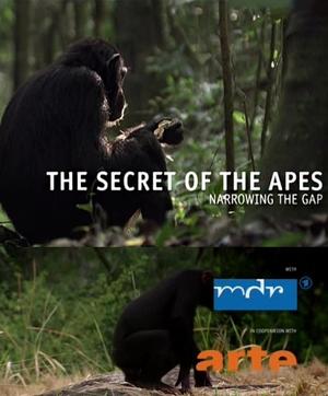 Секреты обезьян. Сокращая разрыв / The Secret of the Apes - Narrowing the GAP (None) смотреть онлайн бесплатно в отличном качестве