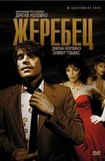 Жеребец (The Stud) 1978 года смотреть онлайн бесплатно в отличном качестве. Постер