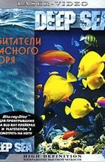 Обитатели Красного моря / Deep Sea (2007) смотреть онлайн бесплатно в отличном качестве