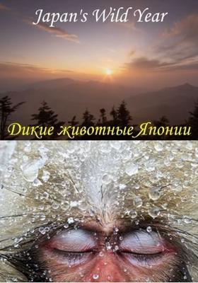 Дикие животные Японии / Japan's Wild Year (None) смотреть онлайн бесплатно в отличном качестве