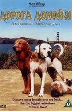 Дорога домой 2: Затерянные в Сан-Франциско (Homeward Bound II: Lost in San Francisco)  года смотреть онлайн бесплатно в отличном качестве. Постер