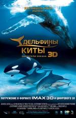 Дельфины и киты / Dolphins and Whales 3D: Tribes of the Ocean (2008) смотреть онлайн бесплатно в отличном качестве