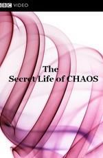 BBC: Тайная жизнь хаоса / The Secret Life of Chaos (None) смотреть онлайн бесплатно в отличном качестве