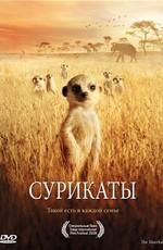 Сурикаты / The Meerkats (2008) смотреть онлайн бесплатно в отличном качестве