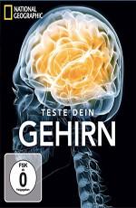 National Geographic: Испытайте свой мозг (National Geographic: Test Your Brain) 2011 года смотреть онлайн бесплатно в отличном качестве. Постер