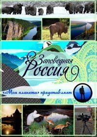 Заповедная Россия. Кедровая падь ()  года смотреть онлайн бесплатно в отличном качестве. Постер