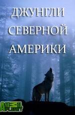 Animal Planet: Джунгли Северной Америки