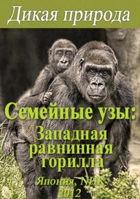 Дикая природа. Семейные узы: Западная равнинная горилла / Wild Life. Family Ties: Western Lowland Gorilla (None) смотреть онлайн бесплатно в отличном качестве