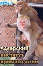 Адлерский институт приматологии