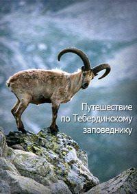 Путешествие по Тебердинскому заповеднику /  (None) смотреть онлайн бесплатно в отличном качестве