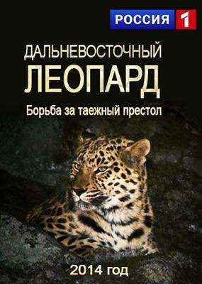 Дальневосточный леопард. Борьба за таежный престол