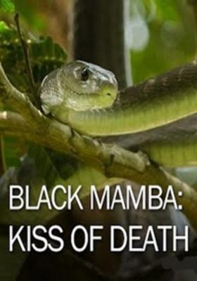 Черная мамба: поцелуй смерти / Black Mamba: kiss of death (None) смотреть онлайн бесплатно в отличном качестве