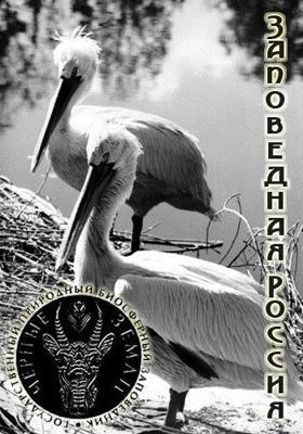 Заповедная Россия. Чёрные земли () 2011 года смотреть онлайн бесплатно в отличном качестве. Постер