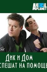 Дик и Дом спешат на помощь / Dick 'N' Dom Go Wild (2011) смотреть онлайн бесплатно в отличном качестве