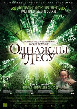 Однажды в лесу / Once in the Forest () смотреть онлайн бесплатно в отличном качестве