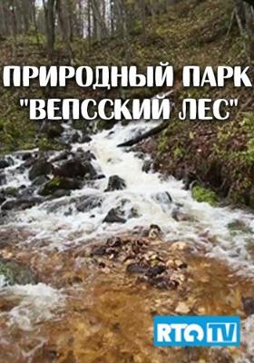 Природный парк Вепсский лес /  () смотреть онлайн бесплатно в отличном качестве