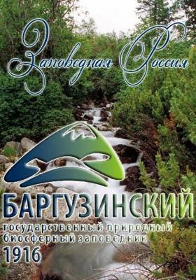 Заповедная Россия. Баргузинский заповедник /  (2011) смотреть онлайн бесплатно в отличном качестве