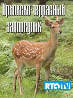 Приокско-террасный заповедник /  () смотреть онлайн бесплатно в отличном качестве