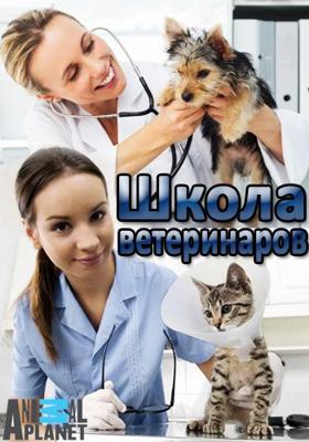 Школа ветеринаров / Safari Vet School (None) смотреть онлайн бесплатно в отличном качестве