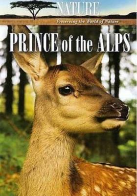 Принц Альп / Prince of the Alps (2007) смотреть онлайн бесплатно в отличном качестве