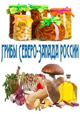 Грибы Северо-Запада России /  (None) смотреть онлайн бесплатно в отличном качестве