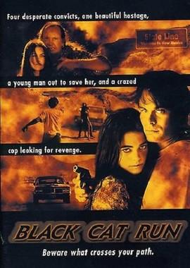 Бег черной кошки / Black Cat Run (None) смотреть онлайн бесплатно в отличном качестве