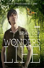 BBC: Чудеса жизни / BBC: Wonders of Life (None) смотреть онлайн бесплатно в отличном качестве