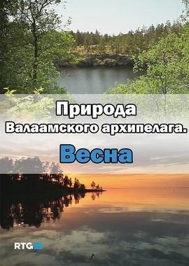 Природа Валаамского архипелага. Весна ()  года смотреть онлайн бесплатно в отличном качестве. Постер