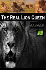 Королева-львица (The Real Lion Queen)  года смотреть онлайн бесплатно в отличном качестве. Постер