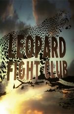 Бойцовский клуб для леопарда / Leopard Fight Club (None) смотреть онлайн бесплатно в отличном качестве