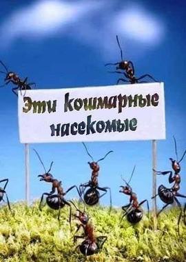 Эти кошмарные насекомые / Insects from Hell (None) смотреть онлайн бесплатно в отличном качестве