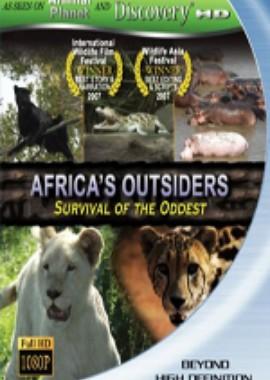 Animal Planet: Дикие изгои в Африке (Animal Planet: Africa's Outsiders) 2006 года смотреть онлайн бесплатно в отличном качестве. Постер