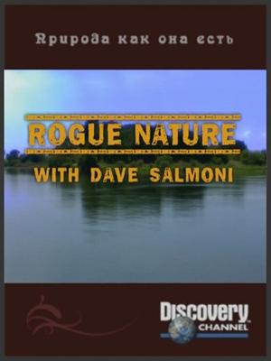 Discovery: Природа, как она есть, с Дейвом Салмони / Discovery: Rogue Nature With Dave Salmoni (2007) смотреть онлайн бесплатно в отличном качестве