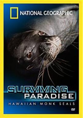 Гавайские тюлени-монахи: Выживающий рай / Hawaiian monk seals: Surviving paradise (None) смотреть онлайн бесплатно в отличном качестве