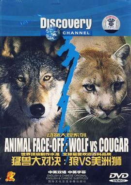 Nat Geo Wild: Пума против волка / Nat Geo Wild: Cougar vs Wolf (None) смотреть онлайн бесплатно в отличном качестве