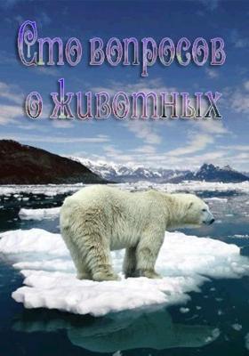 Сто вопросов о животных (Animal science)  года смотреть онлайн бесплатно в отличном качестве. Постер