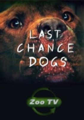 Осторожно, злая собака! / Last Chance Dogs (None) смотреть онлайн бесплатно в отличном качестве