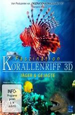 Коралловый риф - Том 3 / Faszination Korallenriff 3D - Vol. 3: Jäger & Gejagte 3D (2011) смотреть онлайн бесплатно в отличном качестве